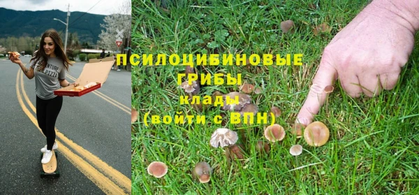 ALPHA-PVP Ельня