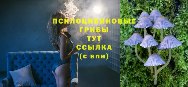 метадон Елизово