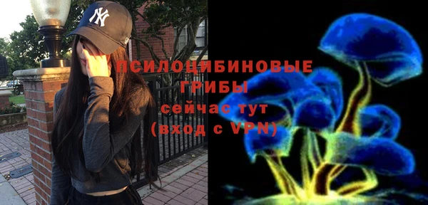 ALPHA-PVP Ельня