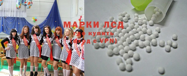 гидропоника Елабуга