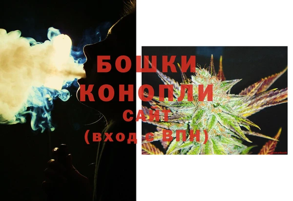 метадон Елизово